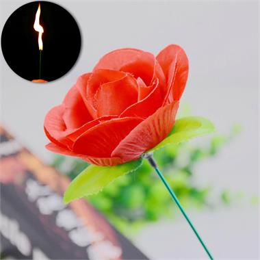 Appearing Fire To Rose Flower